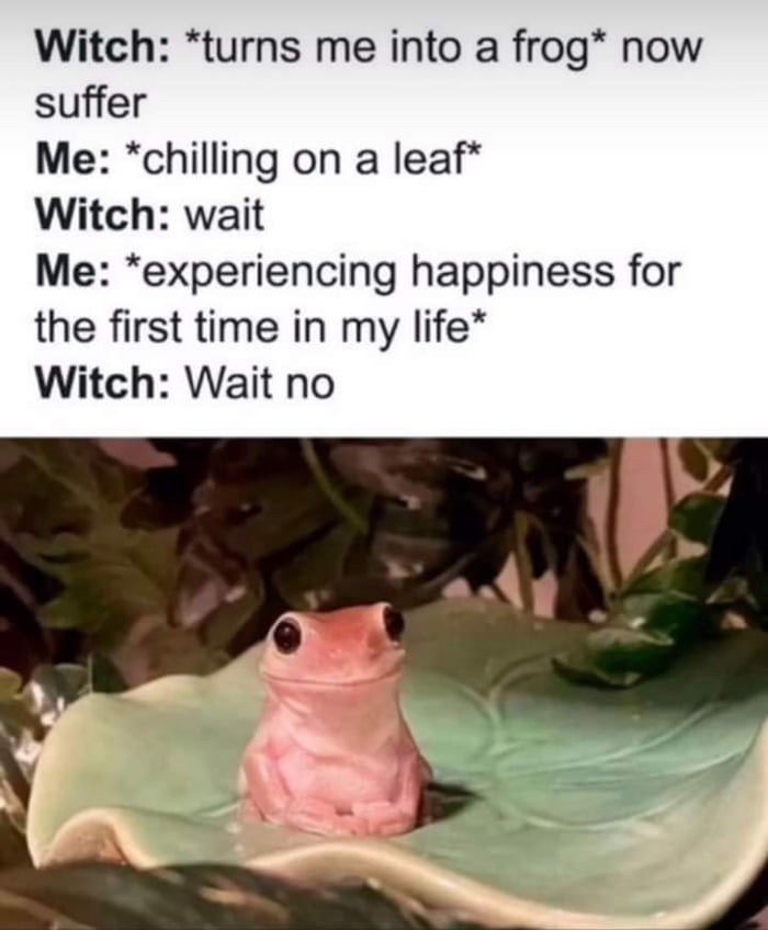 Witch turns me into a frog now suffer Me chilling on a leaf Witch wait Me experiencing happiness for the first time in my life Witch Wait no