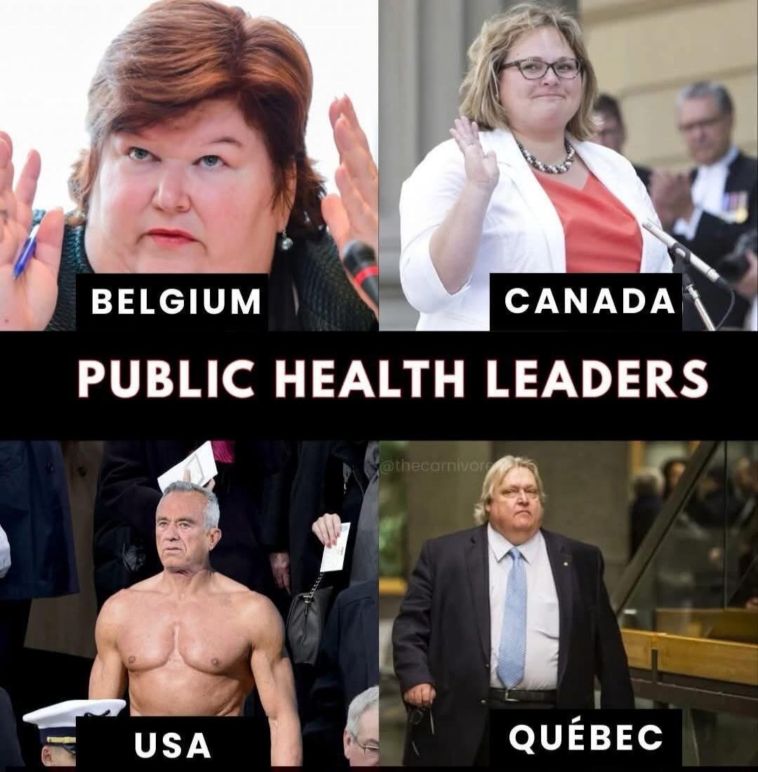 BELGIUM  CANADA  PUBLIC HEALTH LEADERS  USA  QUÉBEC