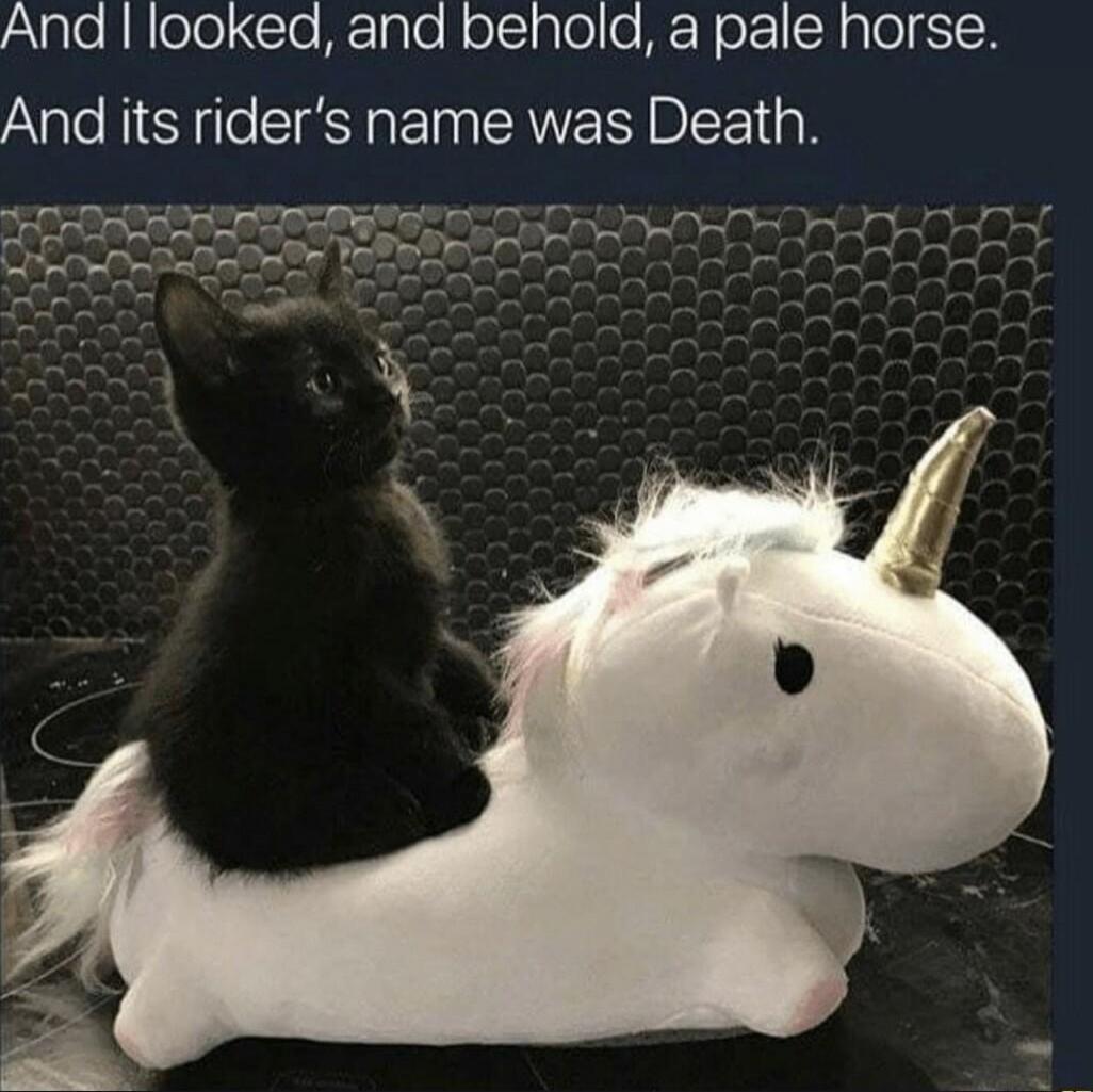 And I looked, and behold, a pale horse. And its rider's name was Death.