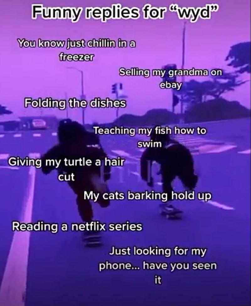 Funnyirepliesiforswydz e ew s Ehillin i freezer Salfine e LECnE Cik 71 ebay o My cats barking hold up a netflix series Just looking for my i phone have you seen it