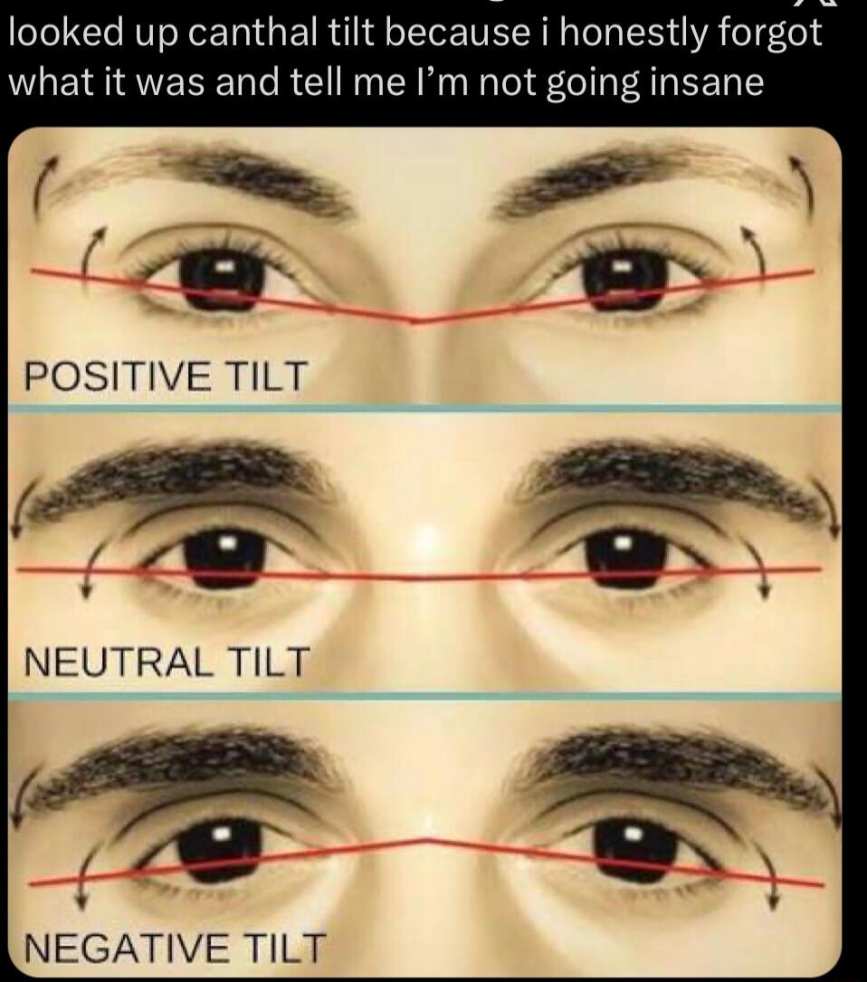 looked up canthal tilt because i honestly forgot what it was and tell me i’m not going insane

POSITIVE TILT
NEUTRAL TILT
NEGATIVE TILT