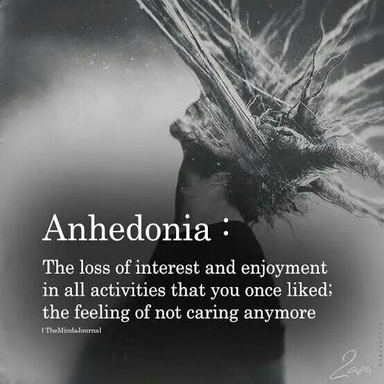 Anhedonia The loss of interest and enjoyment in all activities that you once liked the feeling of not caring anymore r