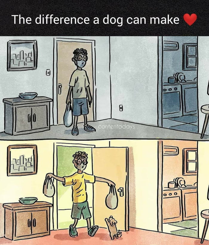 The difference a dog can make
