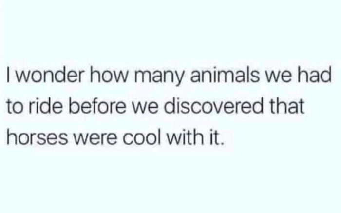 wonder how many animals we had to ride before we discovered that horses were cool with it