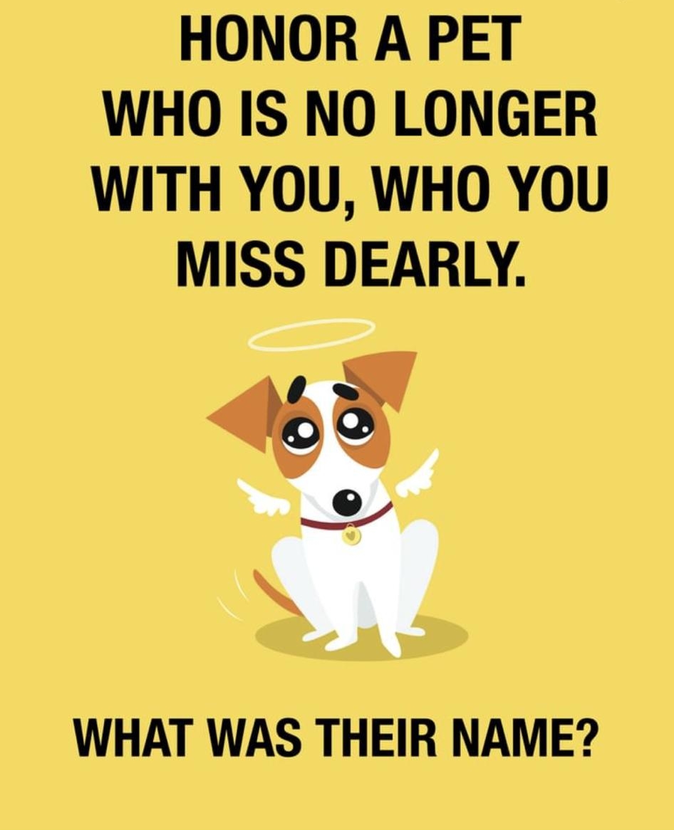 HONOR A PET WHO IS NO LONGER WITH YOU WHO YOU MISS DEARLY WHAT WAS THEIR NAME