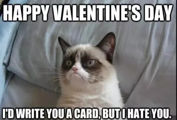 HAPPY VALENTINE'S DAY
I'D WRITE YOU A CARD, BUT I HATE YOU.