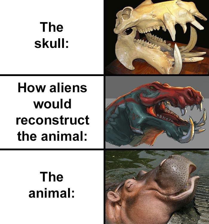 How aliens would reconstruct the animal The animal