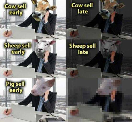 Sheepsell o Pig sell ly ar Cow sell E10 Sheep sell E15