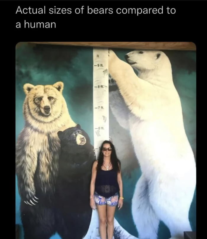 Actual sizes of bears compared to ERaVInEND