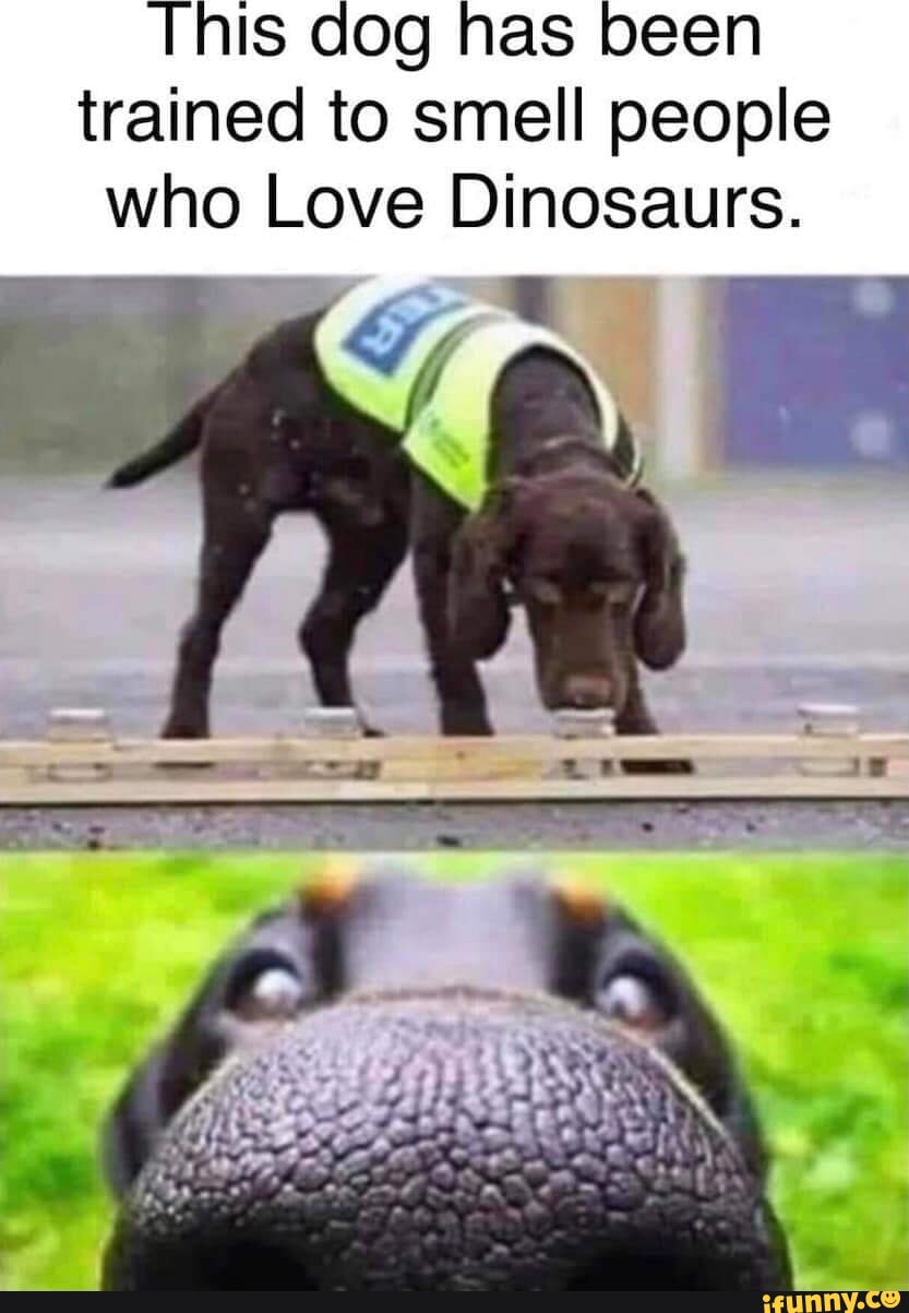 This dog has been trained to smell people who Love Dinosaurs