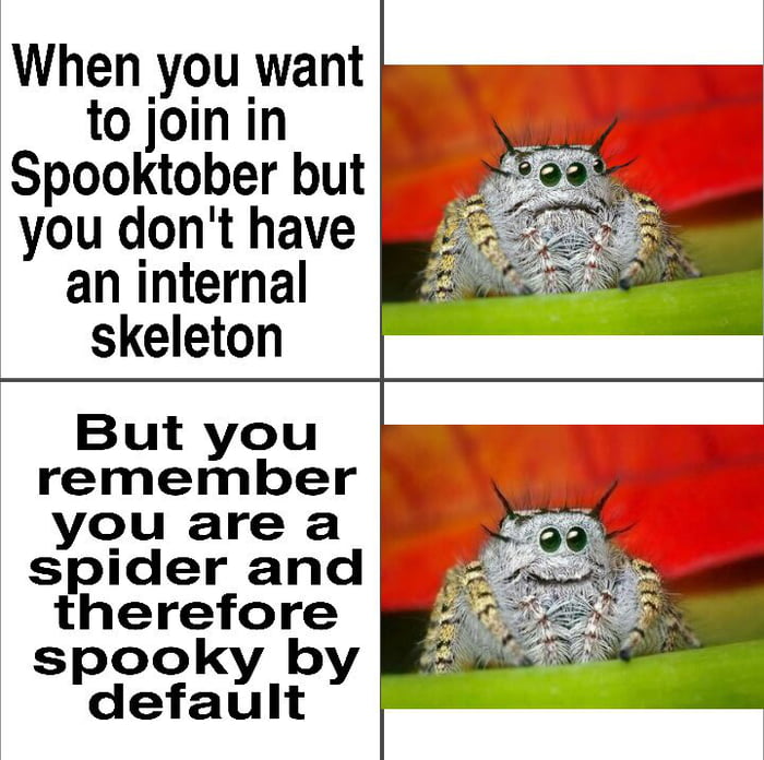 When you want tojoinin Spooktober but you dont have an internal skeleton But you remember you are a spider and herekforge spoo elefaxlt N