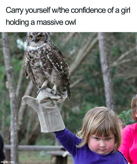 Carry yourself wthe confidence of a girl holding a massive owl