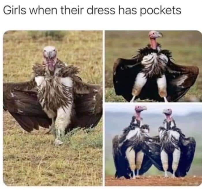 Girls when their dress has pockets oty R e