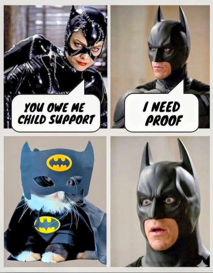 Catwoman says 'YOU OWE ME CHILD SUPPORT'. Batman replies 'I NEED PROOF'. Then a cat dressed as Batman is shown, followed by Batman's shocked reaction.
