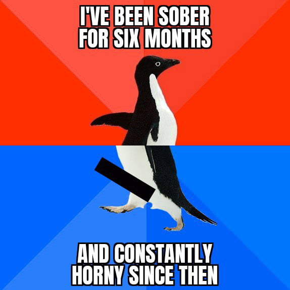 I'VE BEEN SOBER FOR SIX MONTHS AND CONSTANTLY HORNY SINCE THEN