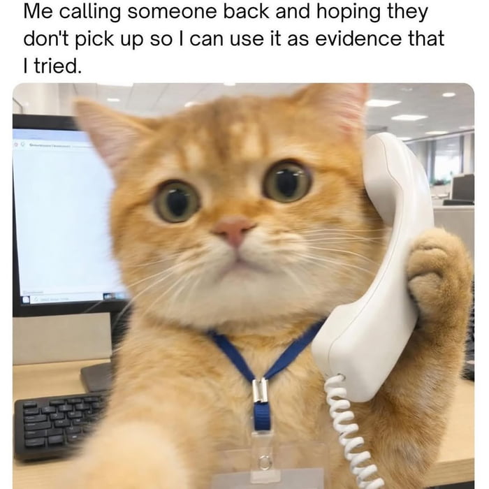 Me calling someone back and hoping they don't pick up so I can use it as evidence that I tried.
