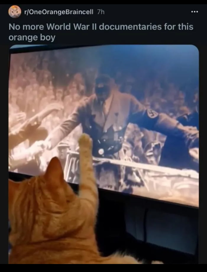 No more World War II documentaries for this orange boy. An orange cat is watching a World War II documentary on TV, featuring a historical figure (Hitler) with a swastika armband addressing a crowd. The cat has one paw raised, seemingly mimicking the figure on screen.