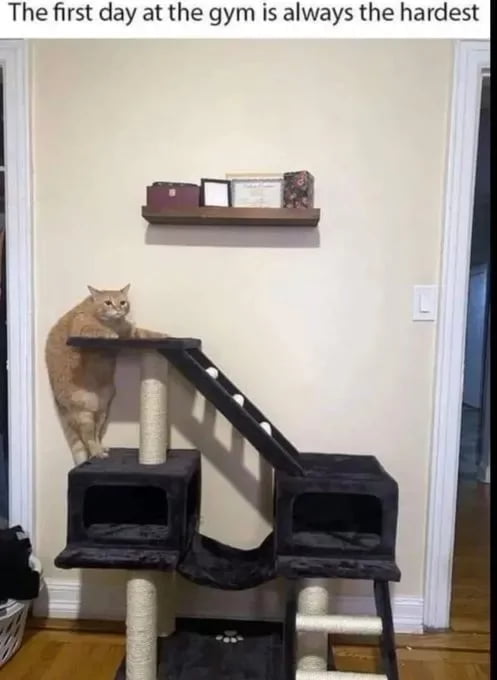 The first day at the gym is always the hardest