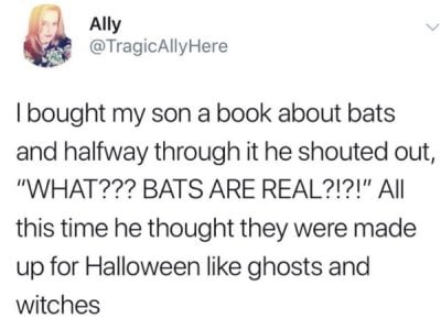 Ally @TragicAllyHere I bought my son a book about bats and halfway through it he shouted out, 