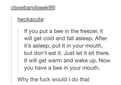 oboebandgeek99: heckacute: If you put a bee in the freezer, it will get cold and fall asleep. After it's asleep, put it in your mouth, but don't eat it. Just let it sit there. It will get warm and wake up. Now you have a bee in your mouth. Why the fuck would I do that