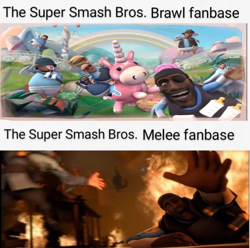 The Super Smash Bros Brawl fanbase