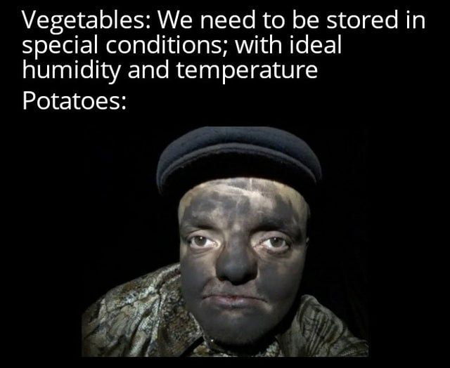 Vegetables We need to be stored in special conditions with ideal humidity and temperature Potatoes