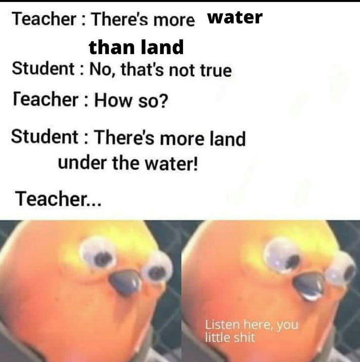 Teacher Theres more water than land Student No thats not true Teacher How so Student Theres more land under the water Teacher