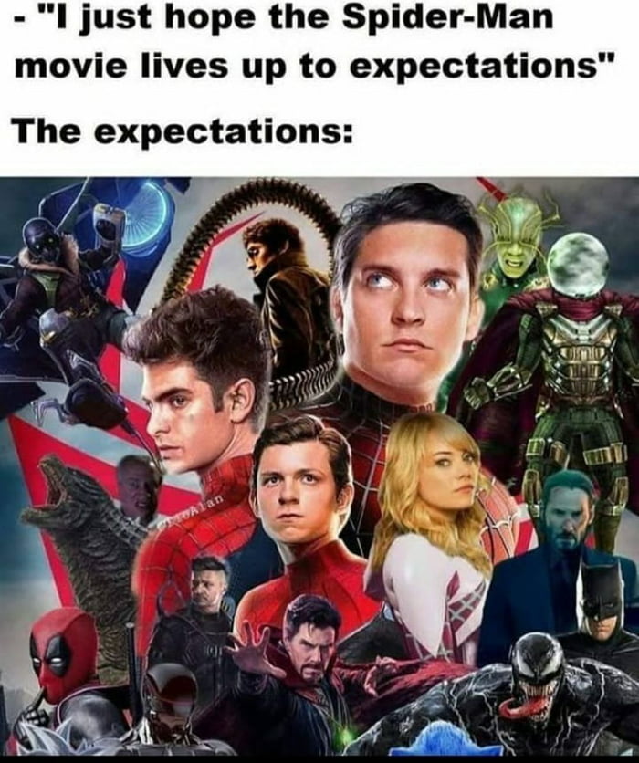 l just hope the Spider Man movie lives up to expectations The expectations