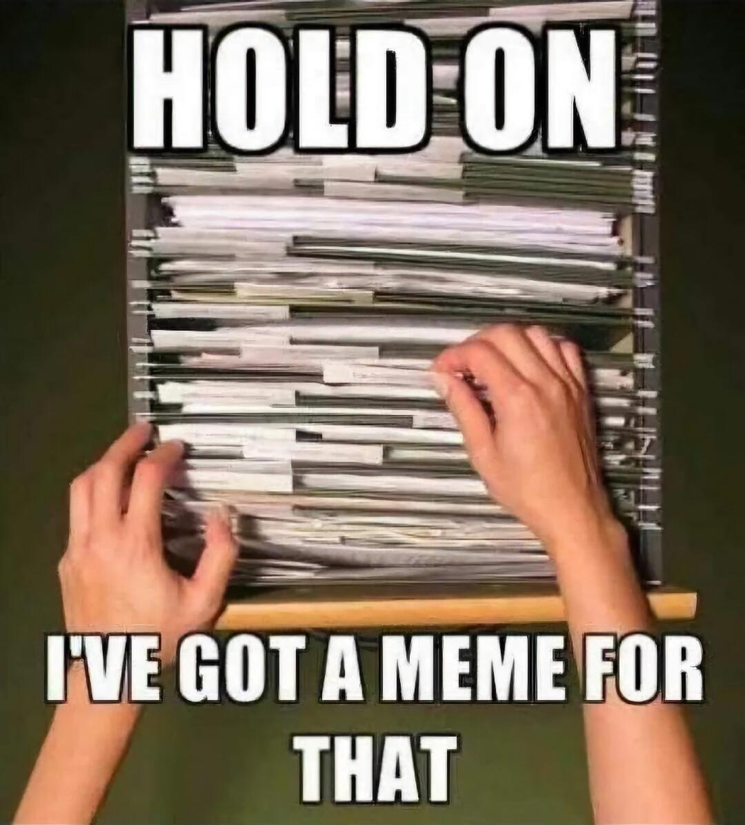 HOLD ON I'VE GOT A MEME FOR THAT