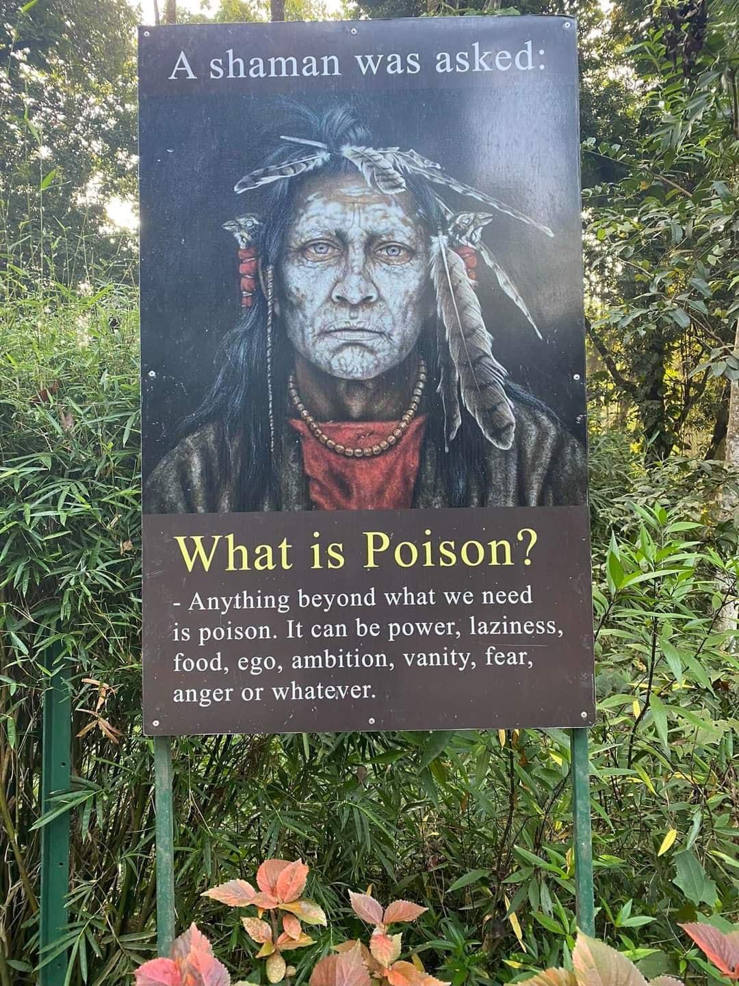 What is Poison Anything beyond what we need is poison It can be power laziness food ego ambition vanity fear anger or whatever