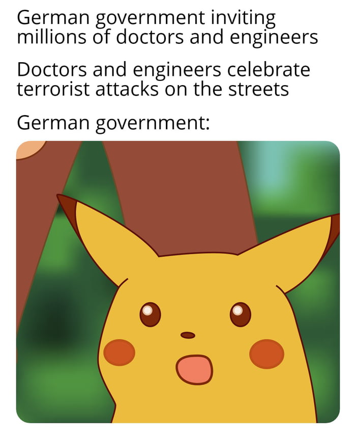 German government inviting millions of doctors and engineers Doctors and engineers celebrate terrorist attacks on the streets German government