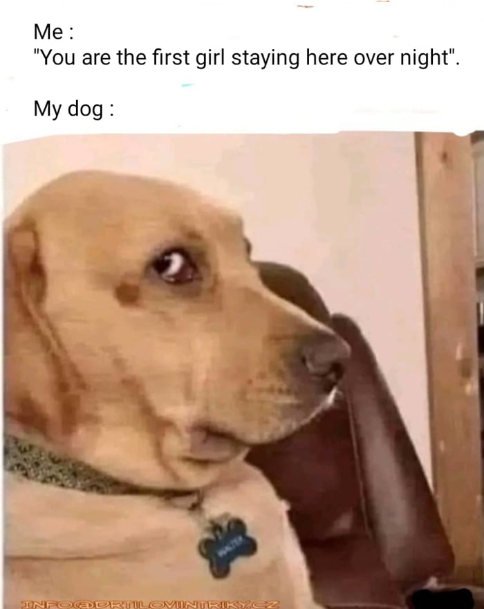 Me You are the first girl staying here over night My dog