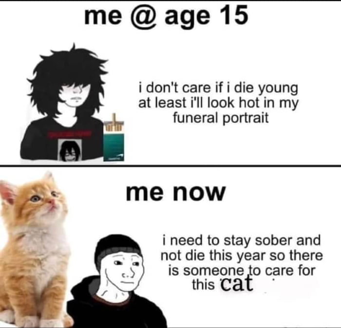 me age 15 idont care if i die young at least ill look hot in my funeral portrait me now i need to stay sober and not die this year so there is someoneo care for thiscat