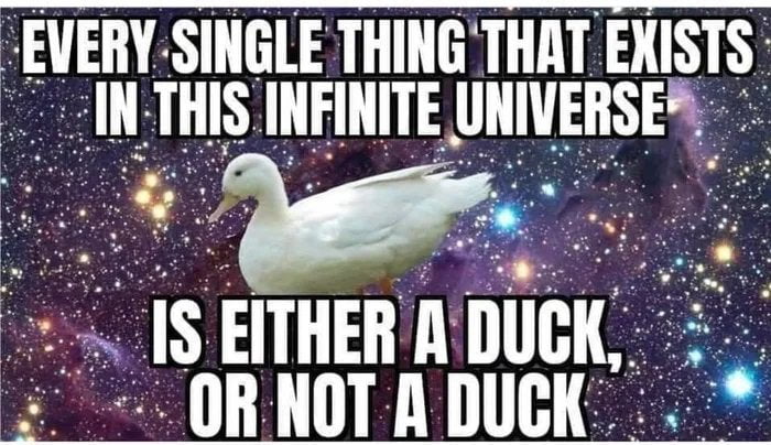 HETRT AT TIETRS THIS IIFIIITE IlllllEHSE 15 ETHER UK DR NOT 1 DUCK