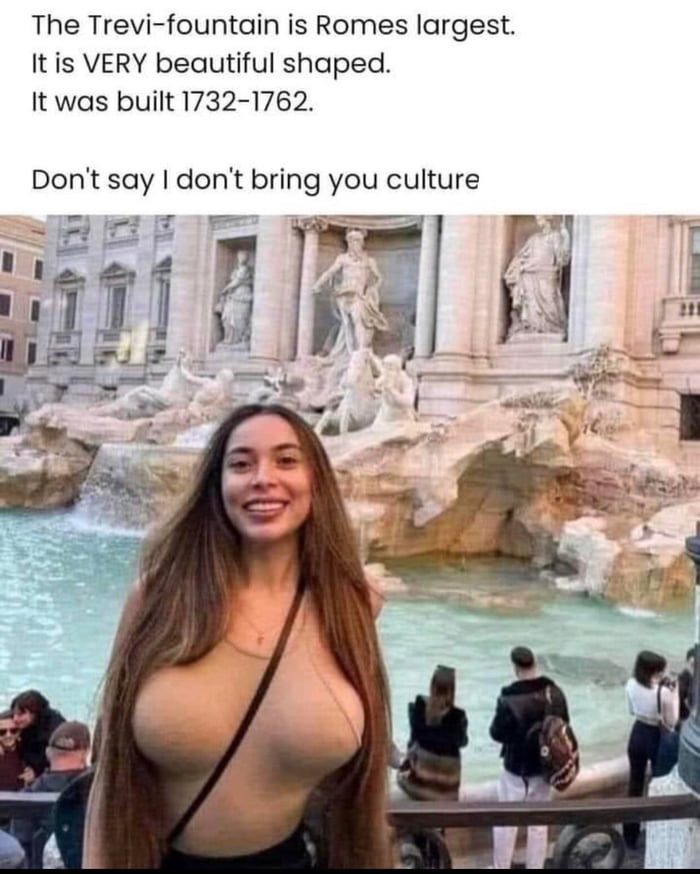 The Trevi fountain is Romes largest Itis VERY beautiful shaped It was built 1732 1762 Dont say dont bring you culture il e I8 L i