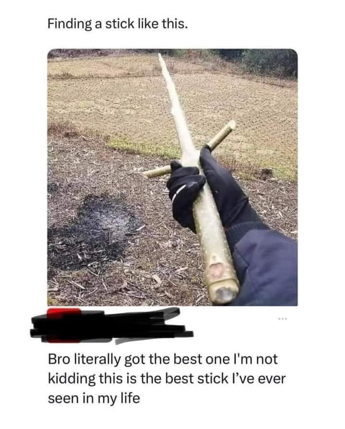 Finding a stick like this Bro literally got the best one Im not kidding this is the best stick Ive ever seen in my life