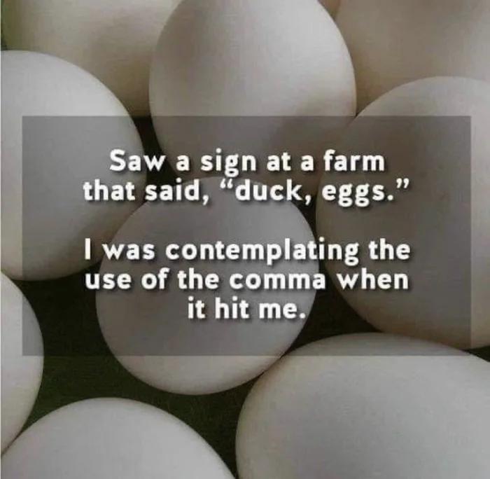 Saw a sin at a farm tha said duck eggs was cont ing the TECNCI R T AL CL it hit