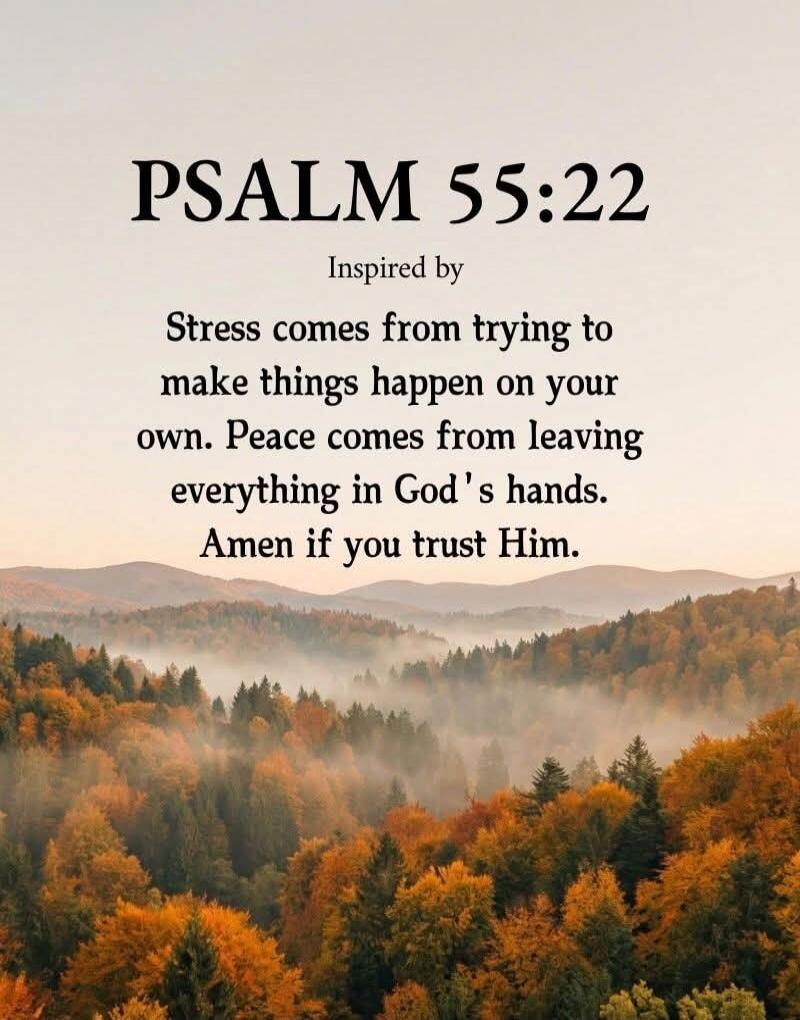 PSALM 55:22
Inspired by
Stress comes from trying to make things happen on your own. Peace comes from leaving everything in God's hands. Amen if you trust Him.