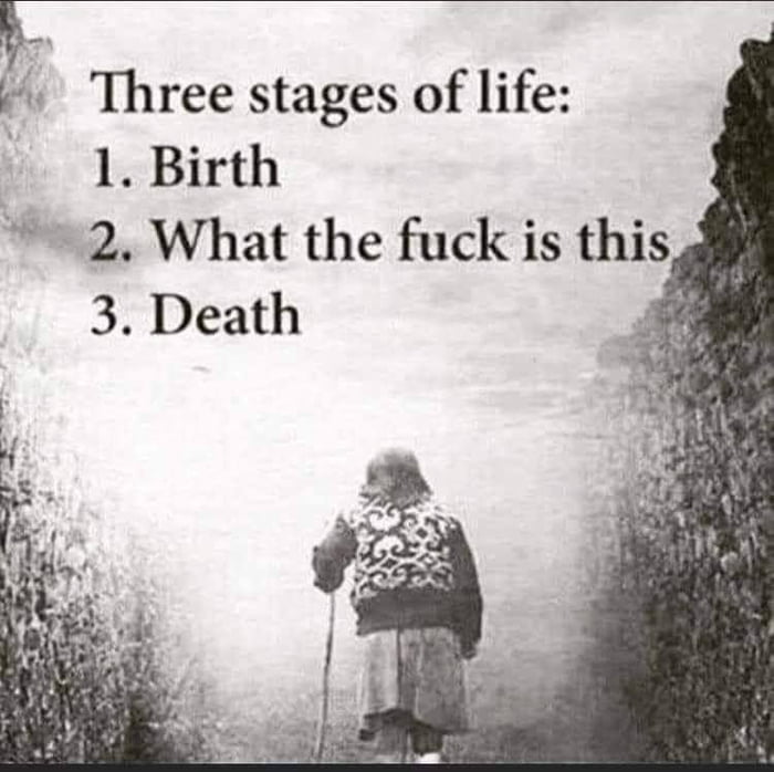 b_ Three stages of life 1 Birth
