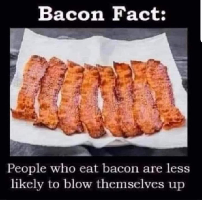 Bacon Fact People who eat bacon are less likely to blow themselves up