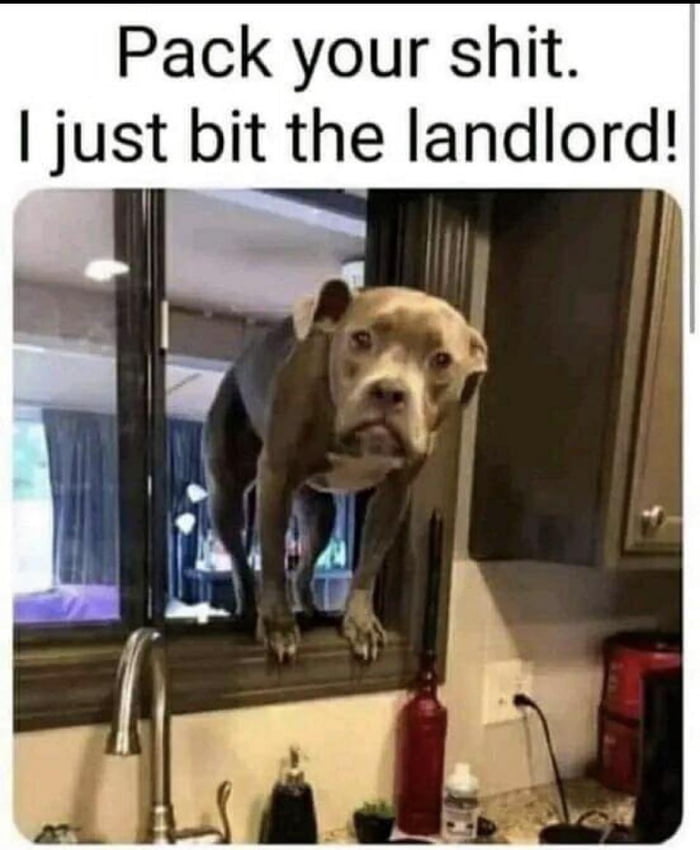 Pack your shit just bit the landlord