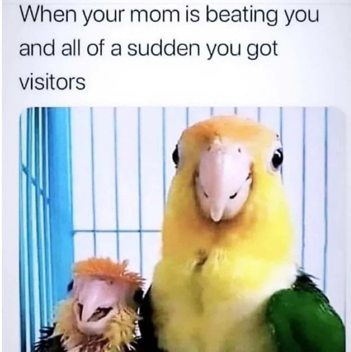 When your mom is beating you and all of a sudden you got visitors