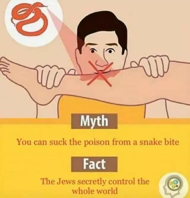 You can suck the poison from a snake bite The Jews secretly control the whole world