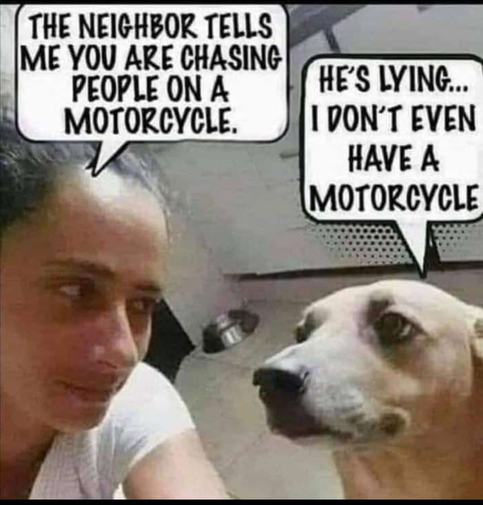 THE NEICHBOR TELLS 0 M CHASING P HES LVING MOTOREYCLE 1 PONT EVEN