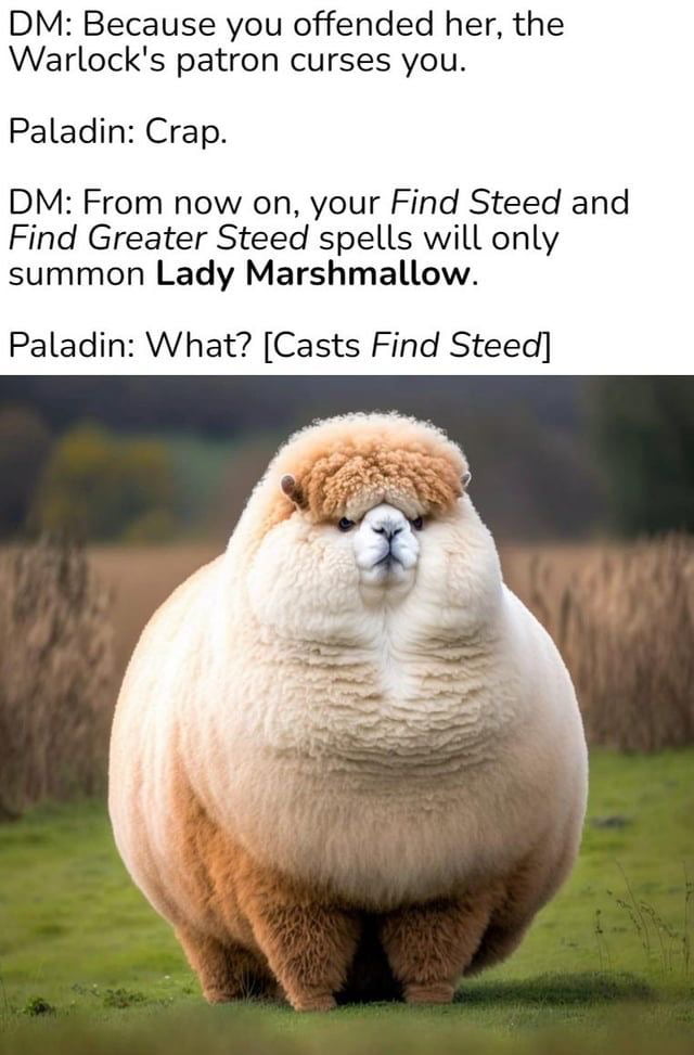 DM Because you offended her the Warlocks patron curses you Paladin Crap DM From now on your Find Steed and Find Greater Steed spells will only summon Lady Marshmallow Paladin What Casts Find Steed