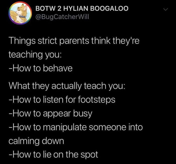 BOTW 2 HYLIAN BOOGALOO BugCatcherWill Things strict parents think theyre teaching you How to behave What they actually teach you How to listen for footsteps How to appear busy How to manipulate someone into onllaTefelelVa How to lie on the spot