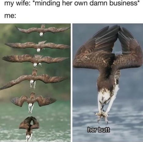my wife minding her own damn business