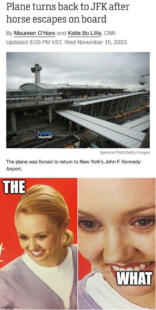 Plane turns back to JFK after horse escapes on board By Maureen OHare and Katie Bo Lillis CNN Up 605 PM EST Wed November 15 2023 The plane was forced to return to New Yorks John F Kennedy Airport TH