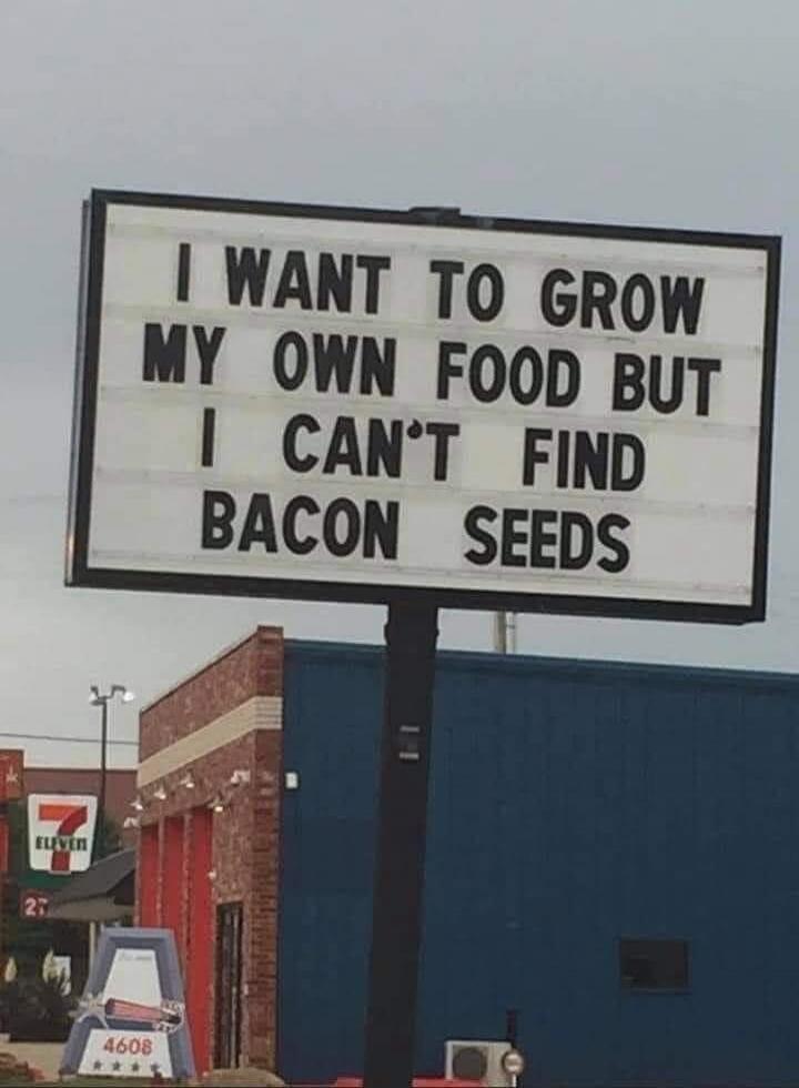 I WANT TO GROW MY OWN FOOD BUT I CAN'T FIND BACON SEEDS
