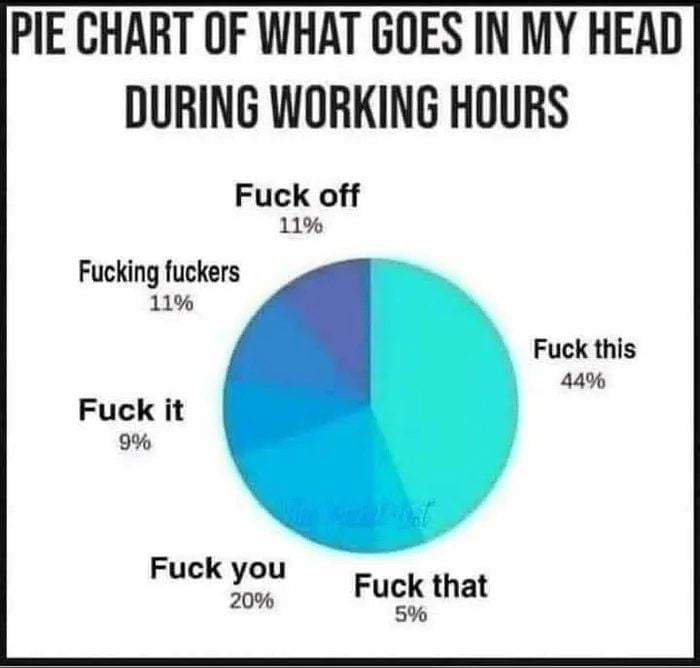 PIE CHART OF WHAT GOES IN MY HEAD DURING WORKING HOURS Fuck off 11 Fucking fuckers 1 Fuck this 44 Fuck it 9 Fuck you 20 Fuck that 5